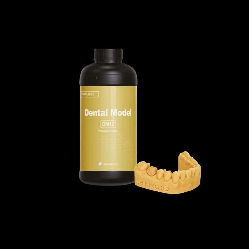 DM12 - Dental Model
